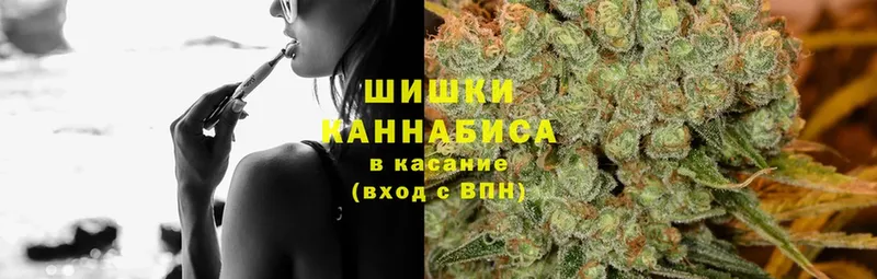 Канабис White Widow  KRAKEN как войти  Оленегорск  купить наркотики цена 